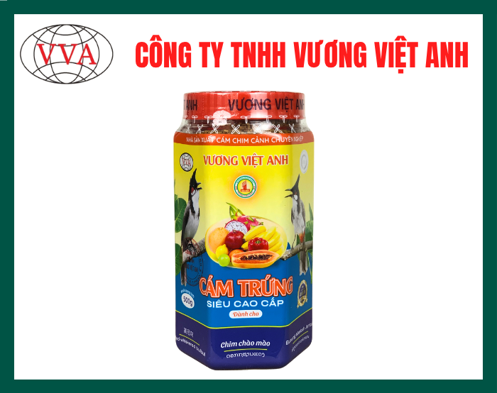 Cám trứng dành cho chim Chào Mào Vương Việt Anh