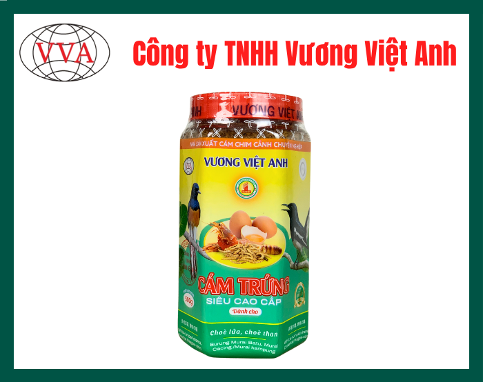 Cám trứng siêu cao cấp dành cho Chòe lửa - Chòe than