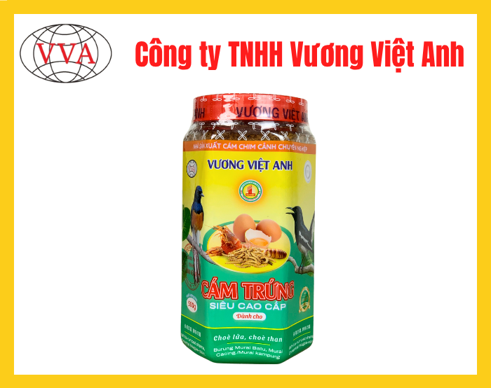 Cám trứng siêu cao cấp dành cho Chòe lửa - Chòe than