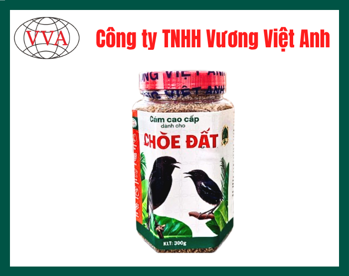 Thức ăn cho chim choè đất Vương Việt Anh